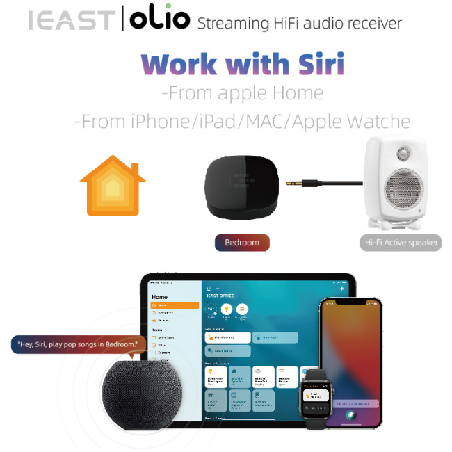 iEast Olio WIFI & Bluetooth Multiroom Audio Streamer Airplay2 - Image 4