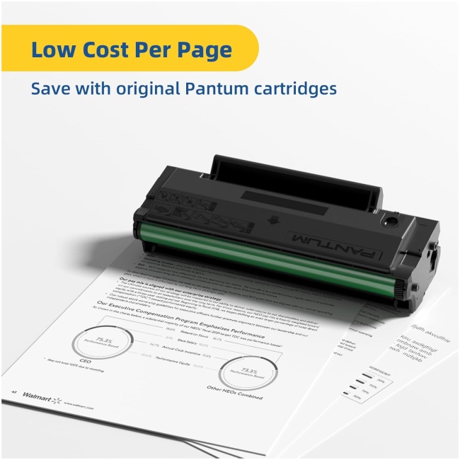 Pantum Toner Cartridge TL-A2310H for 2300 Series 1600 pages - Image 7