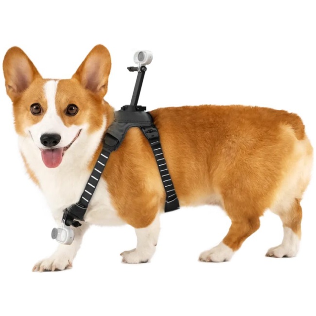 Insta360 Go 3/Go 3S Pet Harness Mount Size M